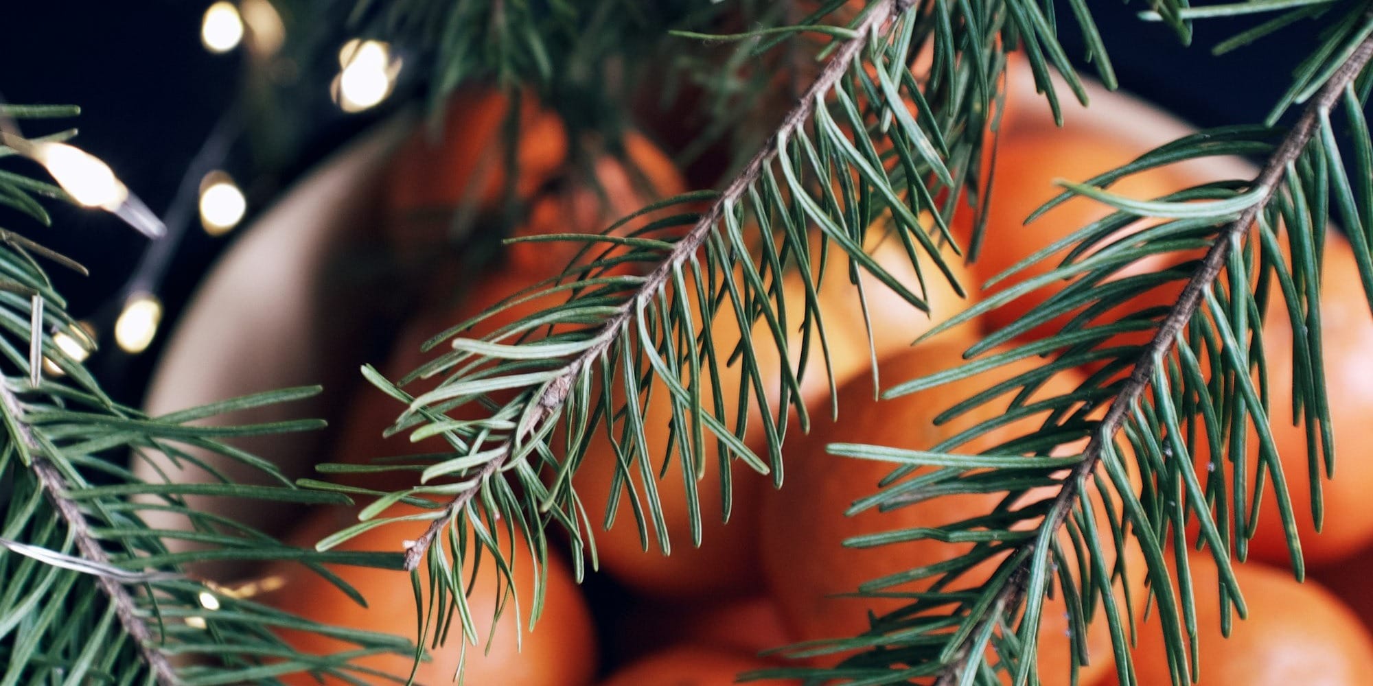 Oranges in a bowl with pine branches and lights