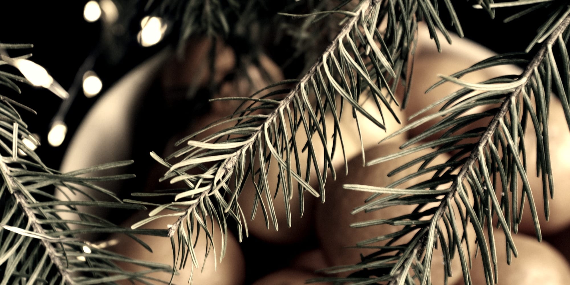 2025 w52/december review