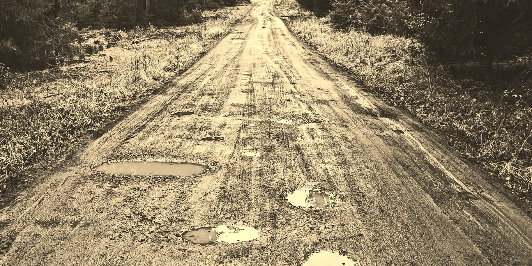 2026 w05/january review