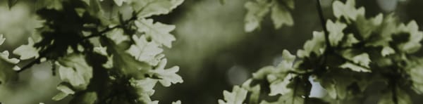 short story: the tinker's second pack