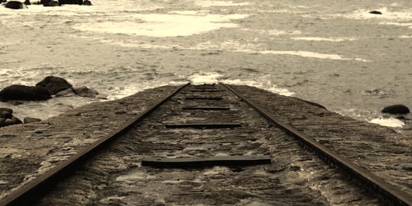 w44 sunday review (entering winter mode)