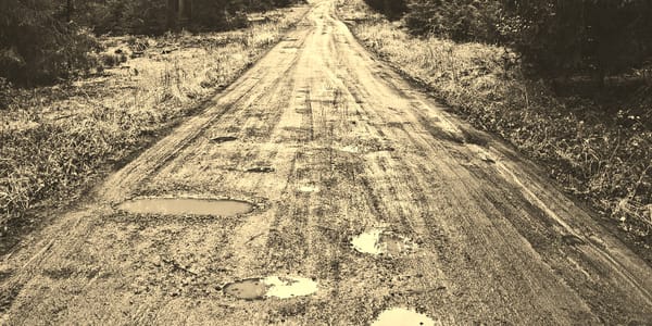 2026 w05/january review